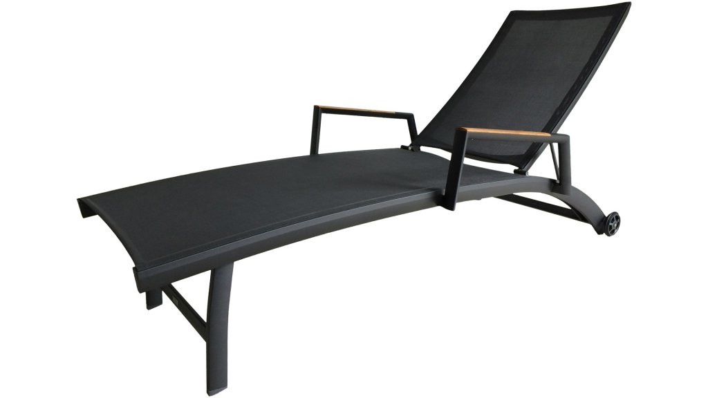 zebra fly liege graphite