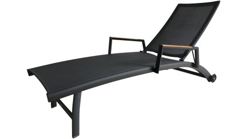 zebra fly liege graphite