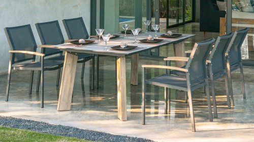 zebra alex sfeerfoto 5